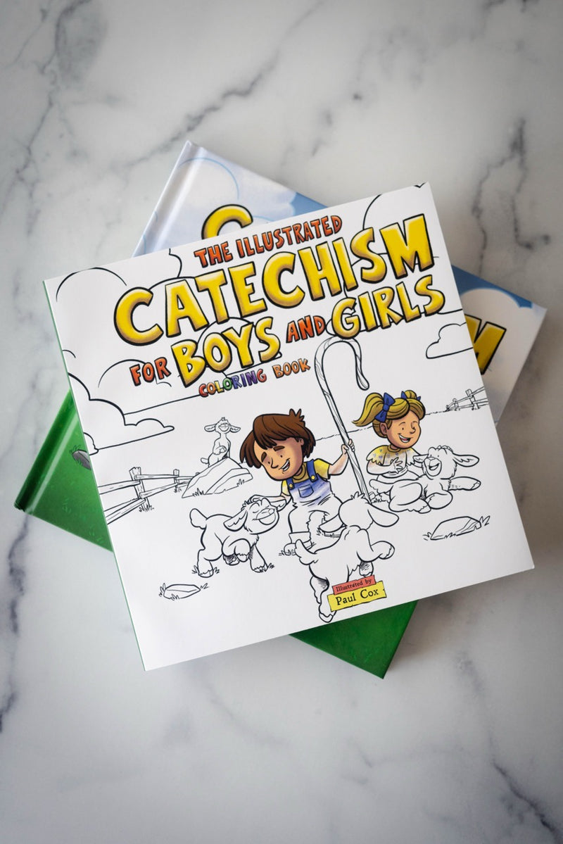 Copy of The Illustrated Catechism for Boys and Girls on a marble countertop