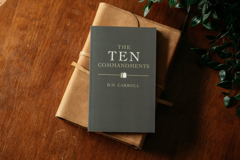 The Ten Commandments book on wood table with plant and journal. 