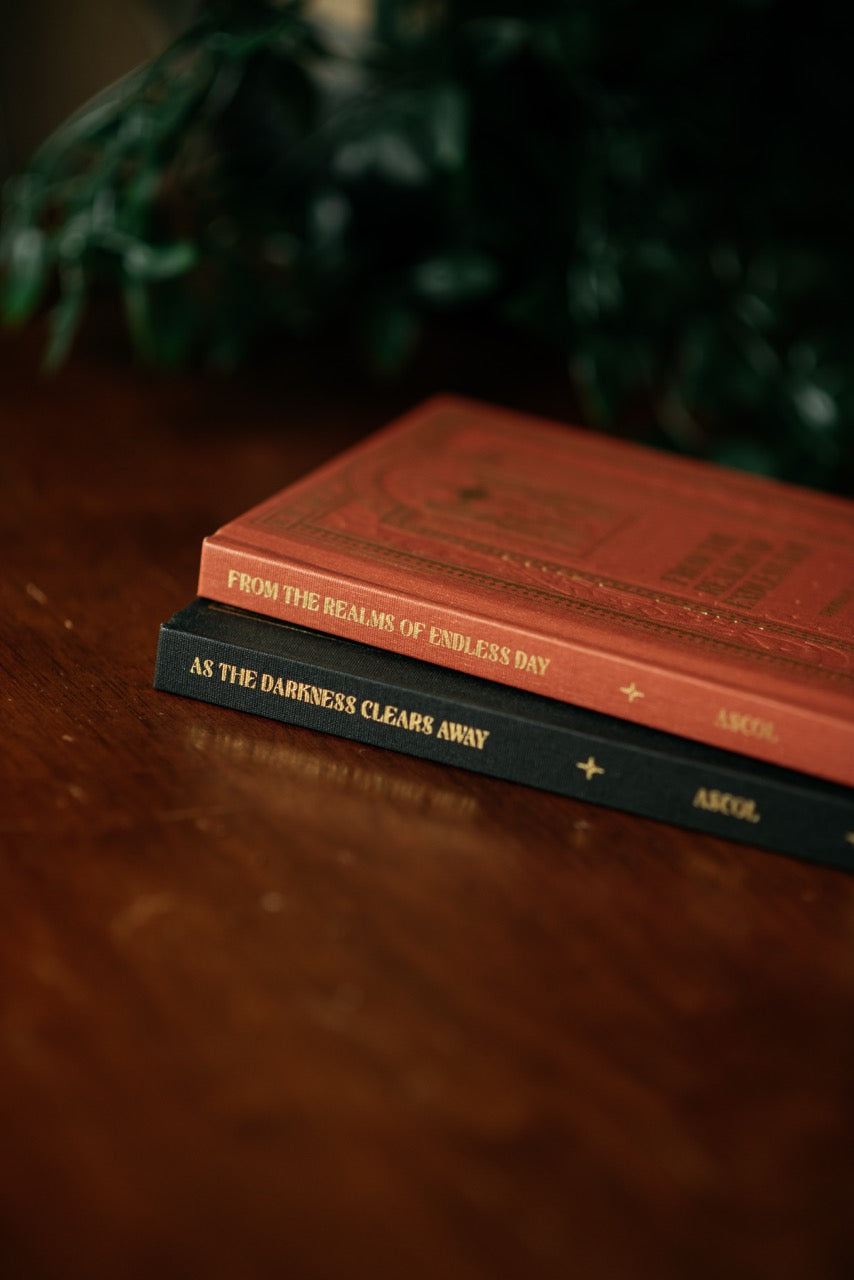 As the Darkness Clears Away and From the Realms of Endless Day books on wooden table with plant. 