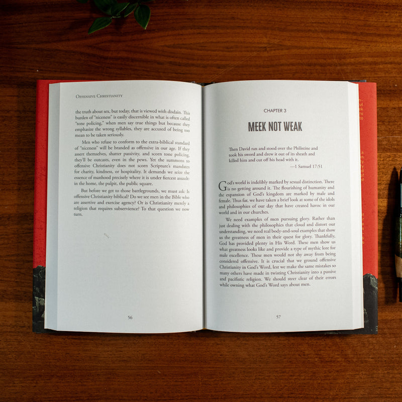 Offensive Christianity by J. Chase Davis open to Chapter 3