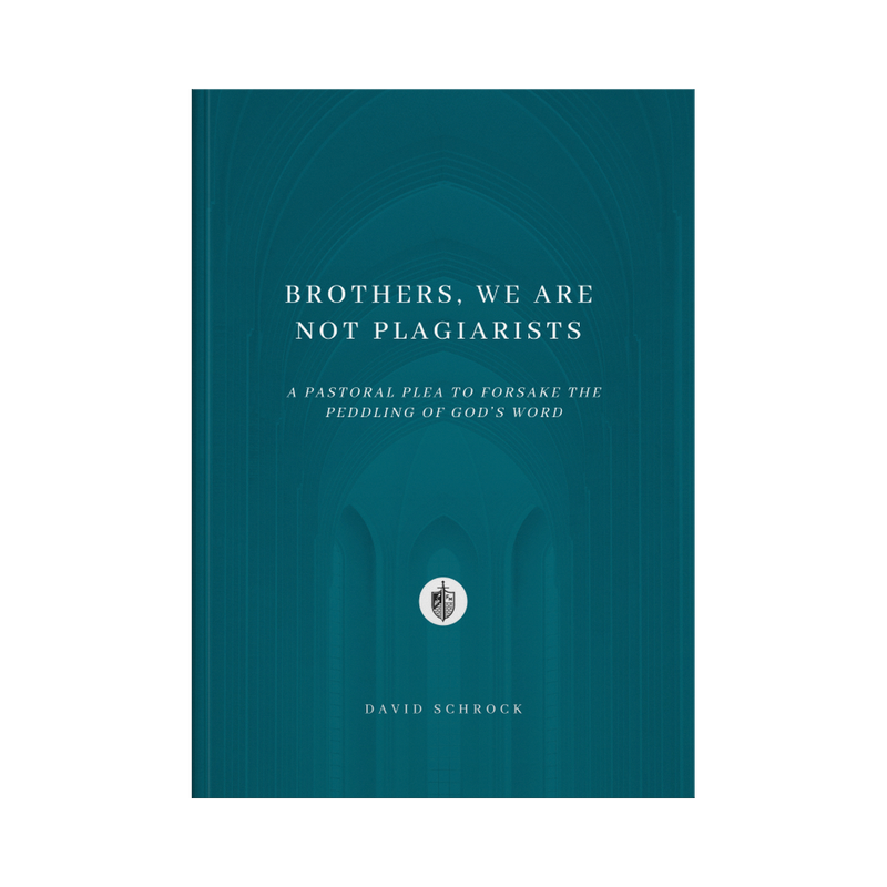 Brothers, We Are Not Plagiarists