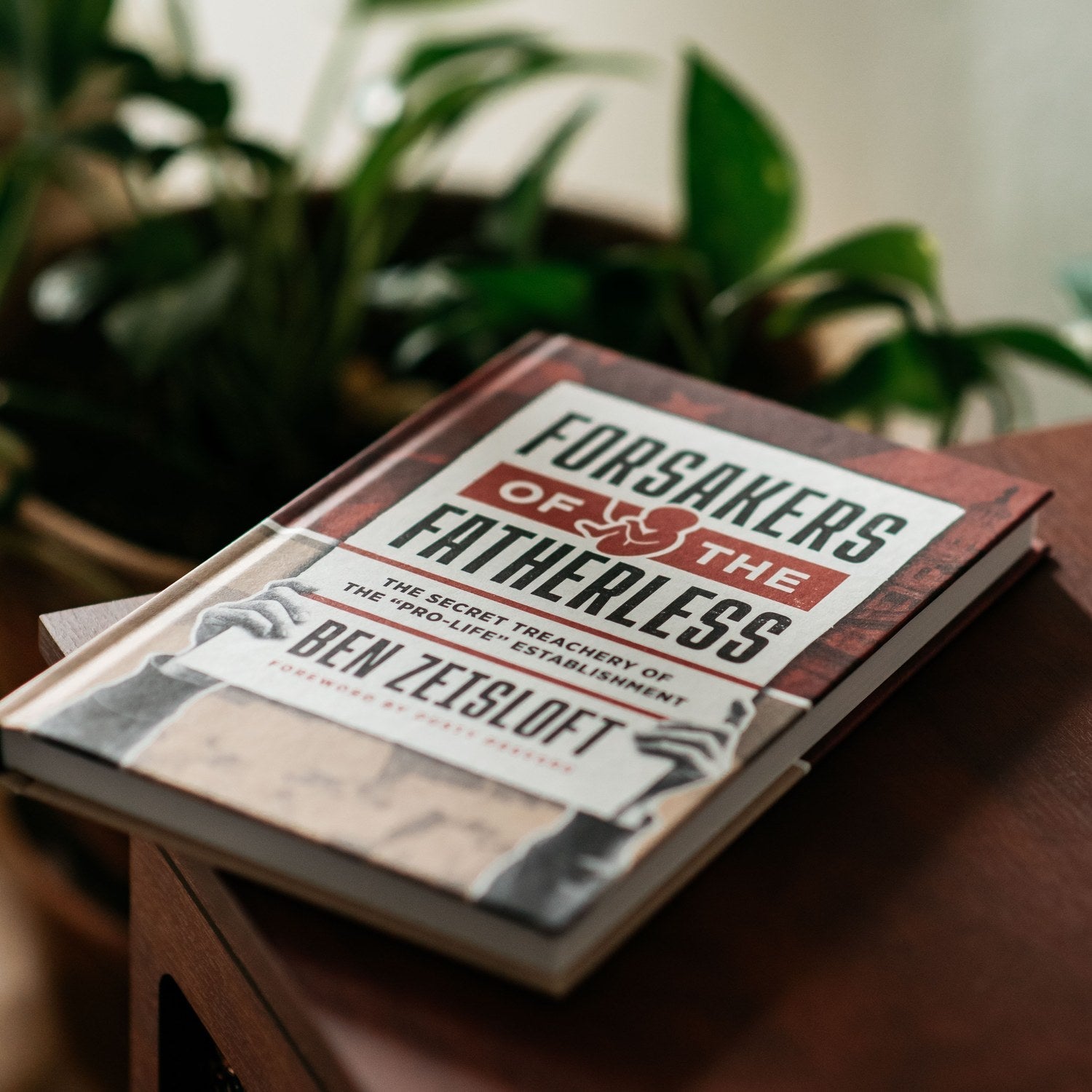 Book titled 'Forsakers of the Fatherless' by Ben Zetsloft on a wooden surface with plants in the background