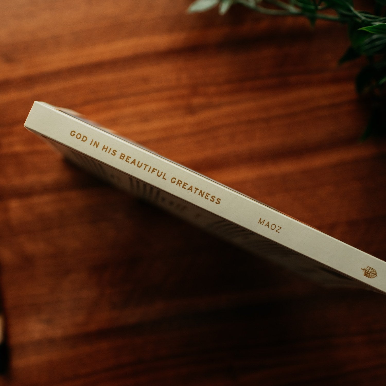 Book titled 'God in His Beautiful Greatness' by Maoz on a wooden surface