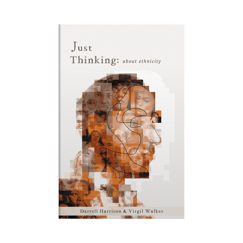 Book cover titled 'Just Thinking: about ethnicity' with abstract design and text on a white background
