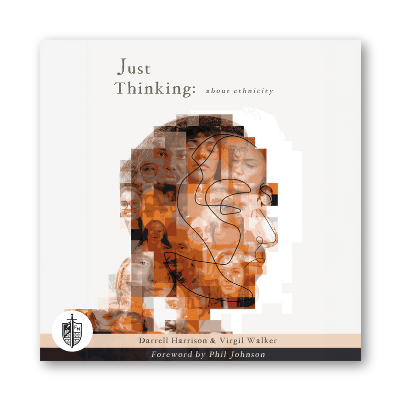 Just Thinking: About Ethnicity (Audiobook)