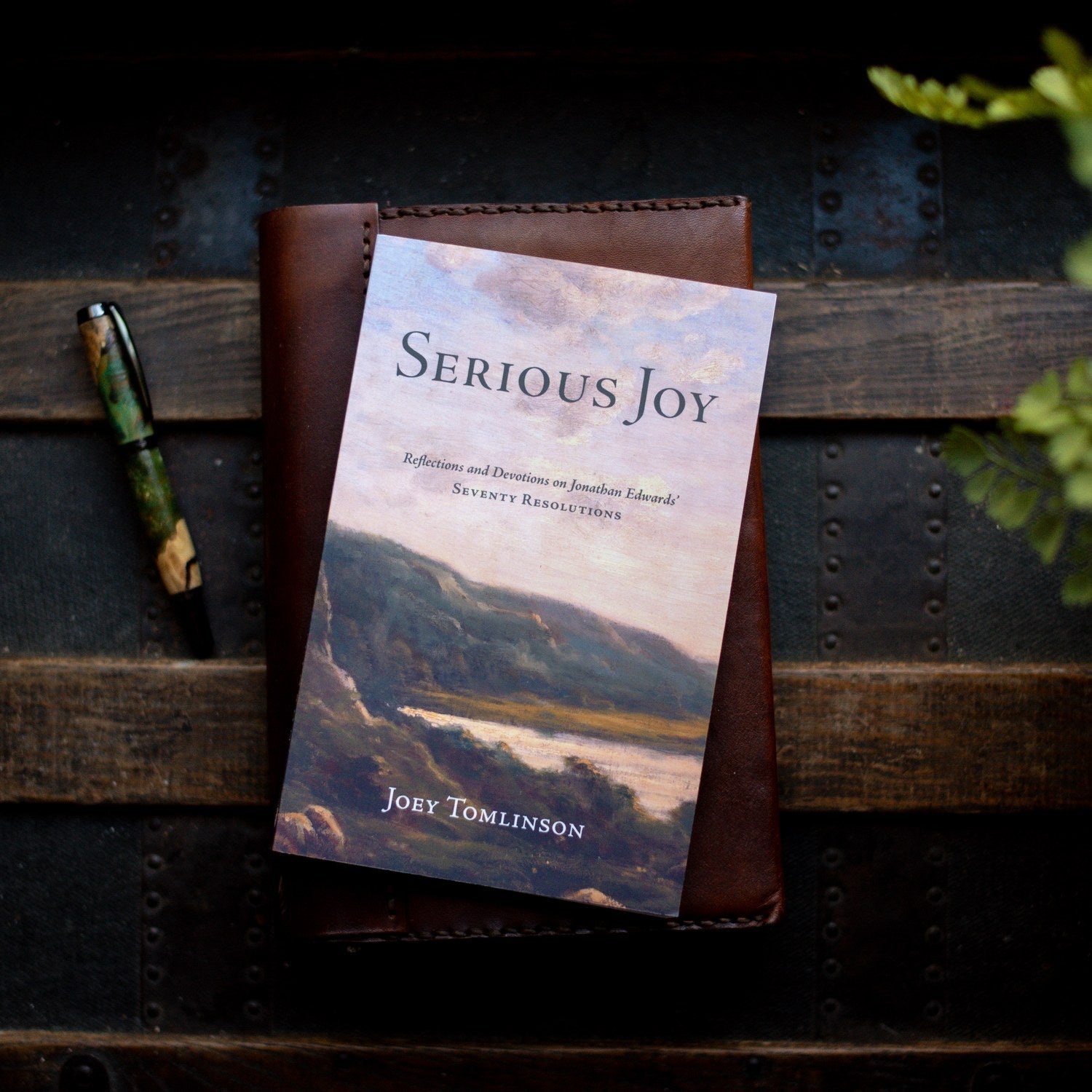 Book titled 'Serious Joy' by Joey Tomlinson on a wooden surface with a pen and plant.