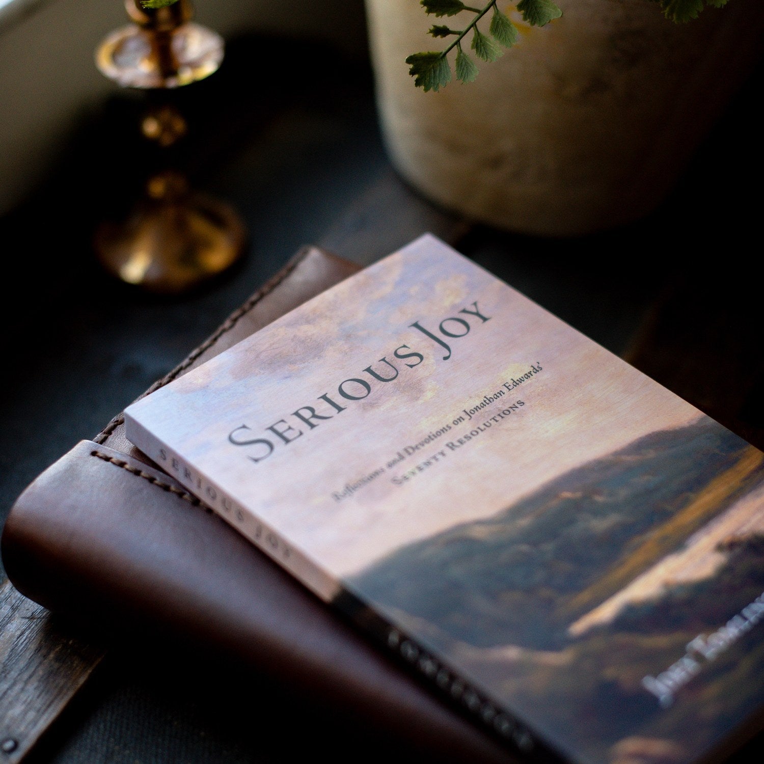Book titled 'Serious Joy' on a wooden surface with a blurred background