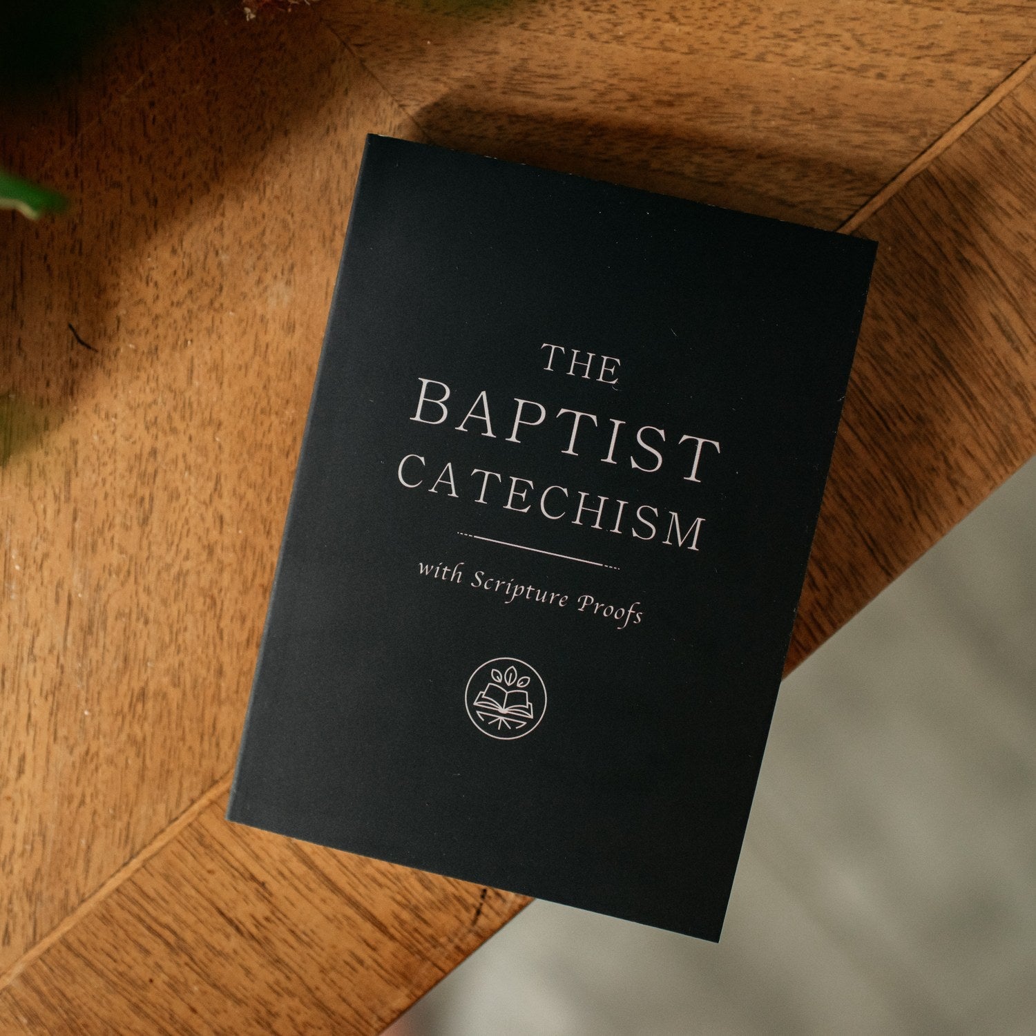 The Baptist Catechism