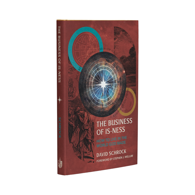 Book cover of 'The Business of Is-Ness' by David Schrock on a white background