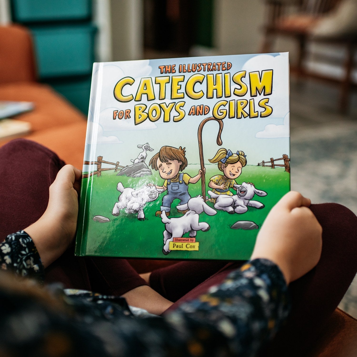 The Illustrated Catechism for Boys and Girls